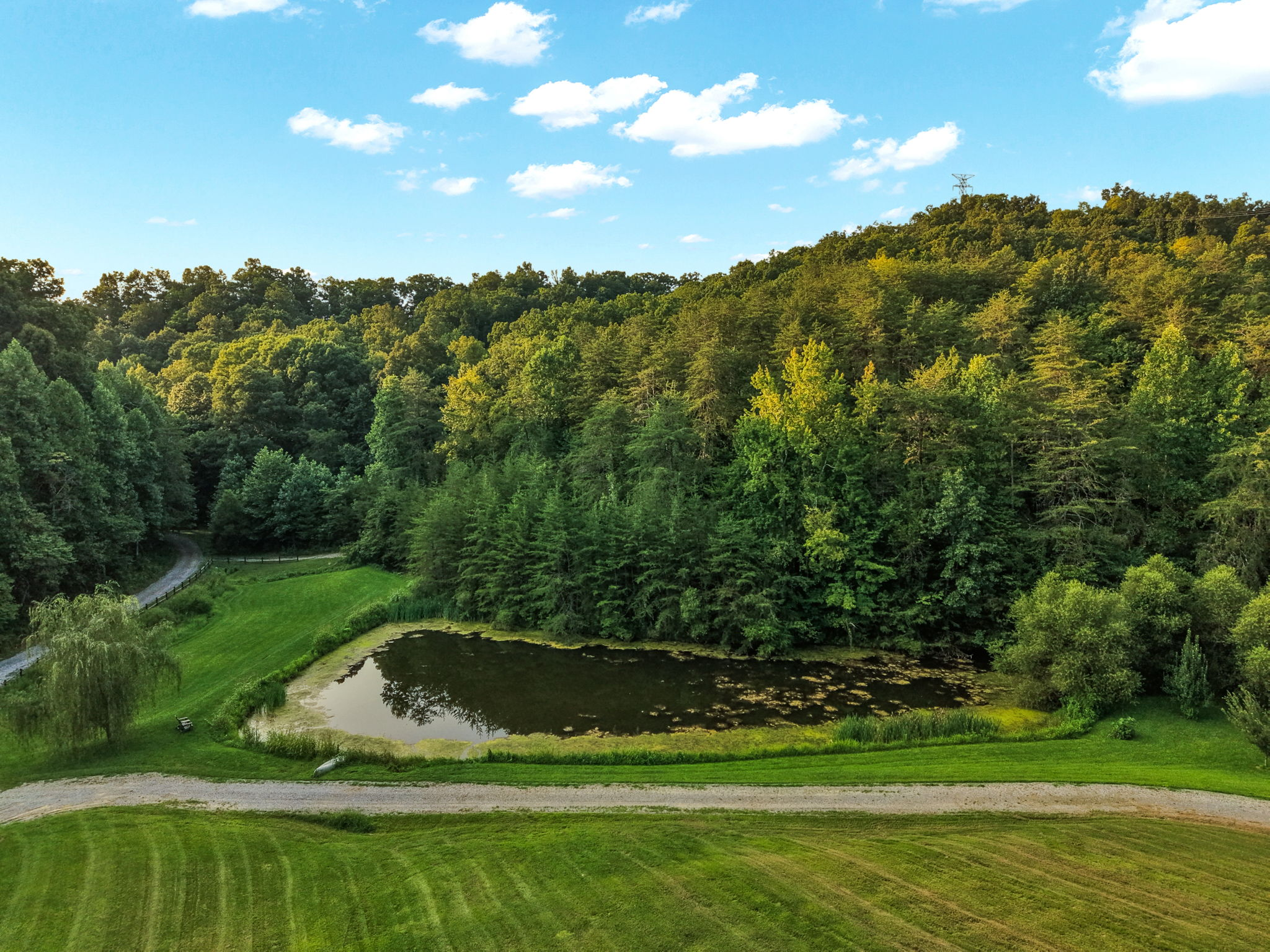 Private pond, drive and wooded hills at 14150 Lonesome Pine Trail